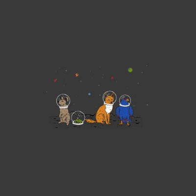 1920 x 1080 HD Wallpapers 1926